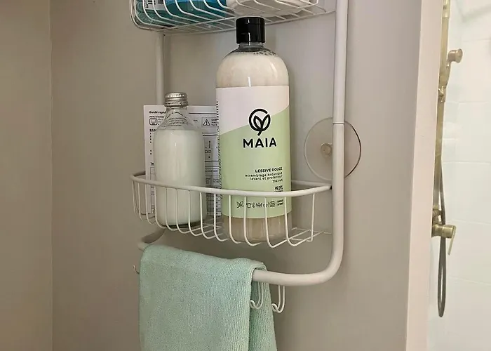 Le Petit Louis Apartment